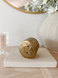 Vintage Brass Seashell Canister
