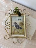 Vintage Gold Plastic Frame with Bird Print