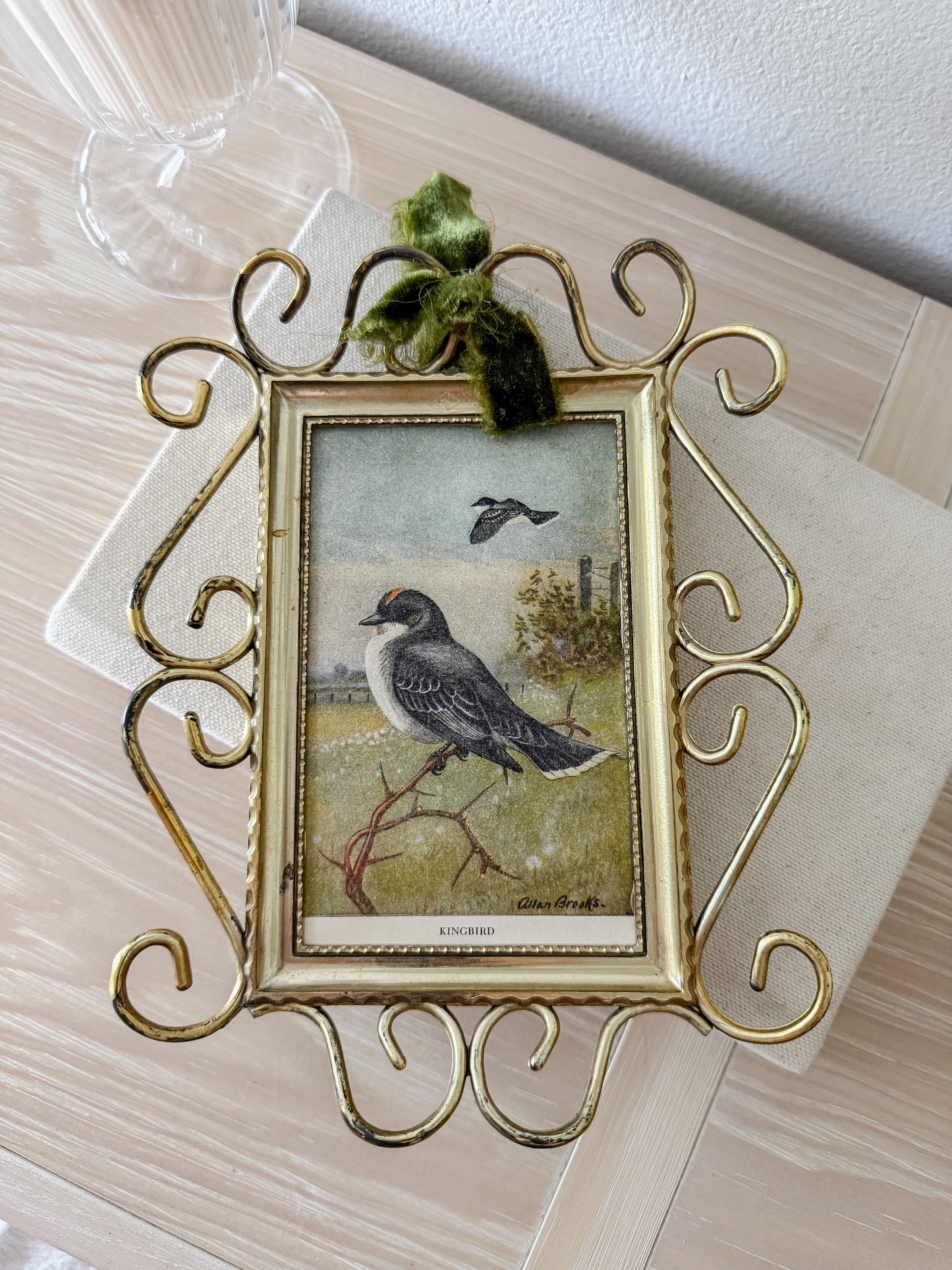 Vintage Gold Plastic Frame with Bird Print