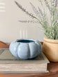 Vintage Blue Scalloped Pottery Planter